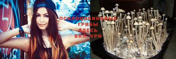 прущая мука Балахна