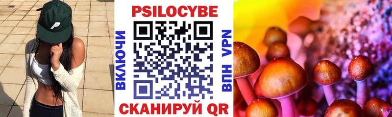 Псилоцибиновые грибы Cubensis  Артёмовский 
